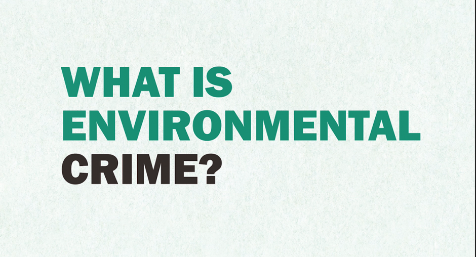 what-is-environmental-crime-osce