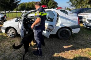 K9 demonstration for participants from the Moldovan General Police Inspectorate, the OSCE, and the Romanian Police General Inspectorate, Sibiu, 4 September 2024. (OSCE)