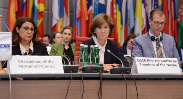 OSCE Representative on Freedom of the Media Teresa Ribeiro addressing the Permanent Council  (OSCE)