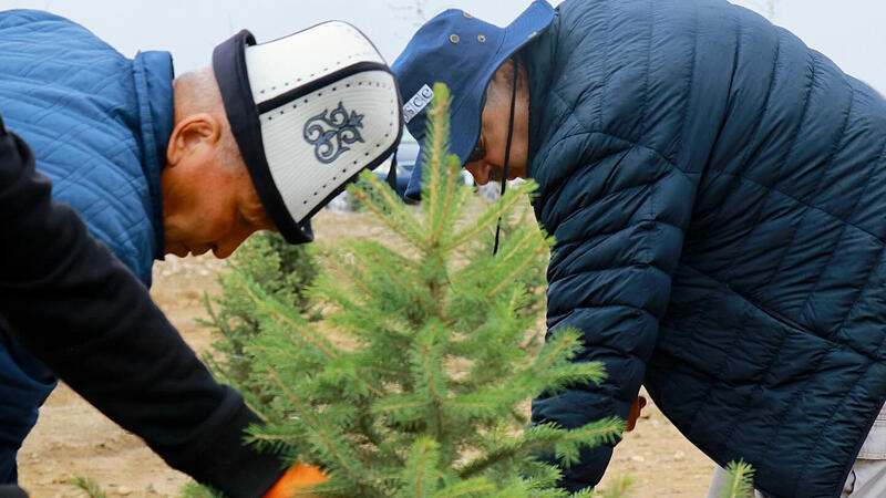 Two men in blue jackets planting a small evergreen tree.