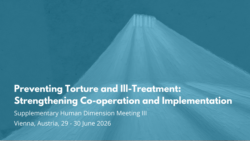Blue graphic with light rays and text about a meeting in Vienna on preventing torture, dated 29-30 June 2026.