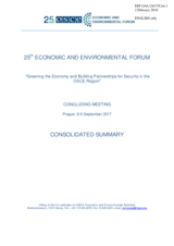 Consolidated summary Consolidated summary